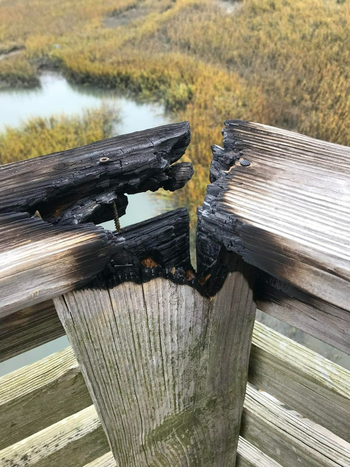 The town of Port Royal is installing at least one camera on the observation tower at Sands Beach to curb graffiti and vandalism. Councilman Jerry Ashmore noted that the destruction is so bad that people are setting the tower on fire. “It’s ridiculous,” Ashmore said.
