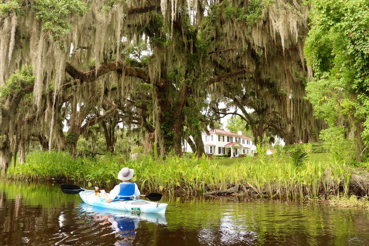 Mansions and marshlands: Cuckolds Creek on the Combahee River was once the center of rice plantation culture in the ACE Basin. Here, kayaker Alan Eisenman of Beaufort pauses before the house of an antebellum plantation centered along the banks of the creek.&nbsp;&nbsp;