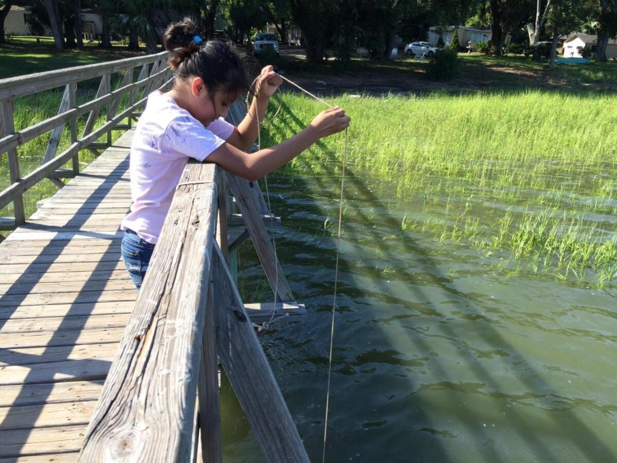 Cindy Santiago Hidalgo crabs off the pier in Rollers Trailer Park on Marshland Road on July 15, 2016.