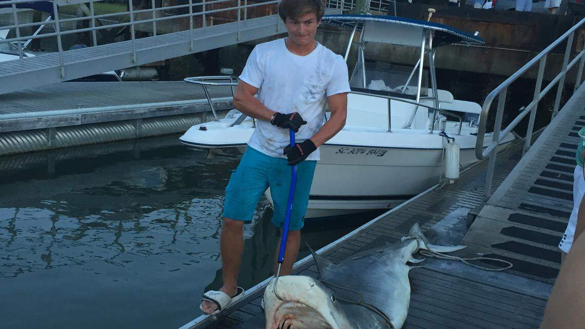 McCombs: Response to Beaufort County shark catch story shows how times have changed 