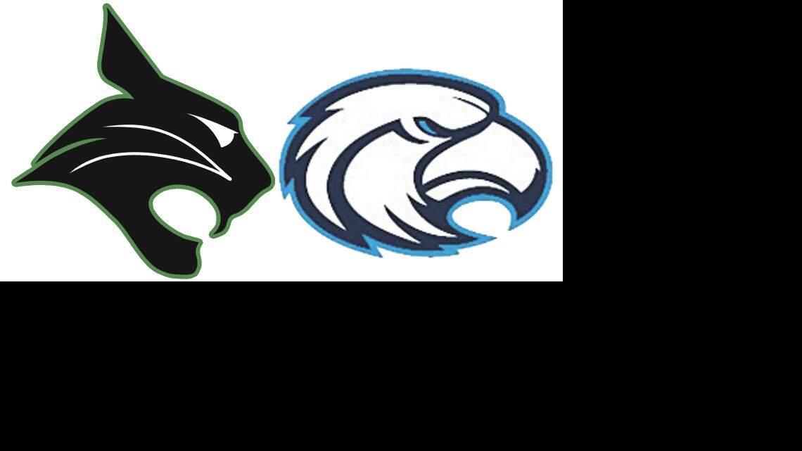 Bobcats, Seahawks each land 2 players on All-State volleyball teams
