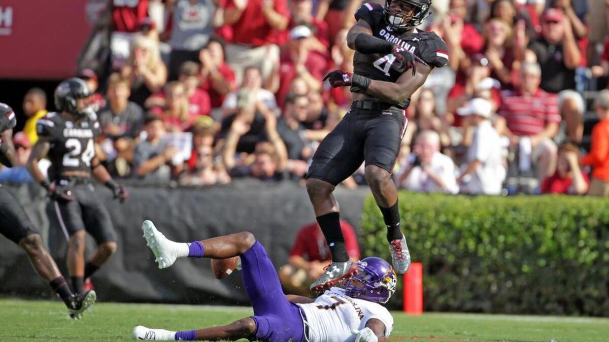 South Carolina Gamecocks linebacker Bryson Allen-Williams (4) celebrates a stop in the first half against East Carolina at Williams-Brice Stadium.