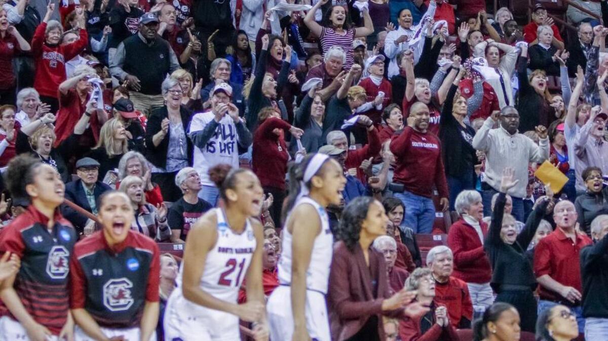 The Gamecocks and fans celebrate as the game against Arizona State comes to a close in the Colonial Life Arena.