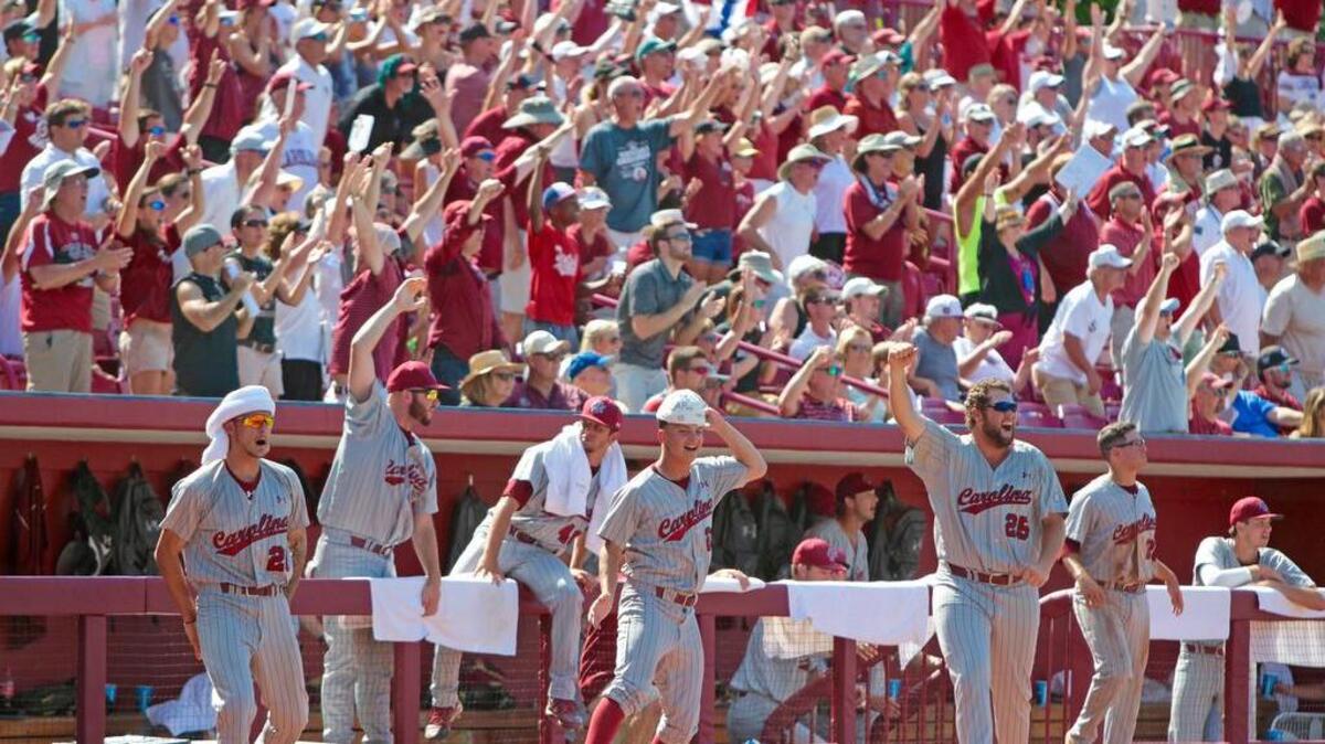 South Carolina's celebrates a DC Arendas home run in the eighth inning against UNCW on Tuesday in the Columbia Regional of the NCAA Tournament at Founders Park.