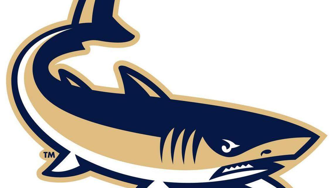 USC Beaufort softball splits twin bill with Coastal Georgia