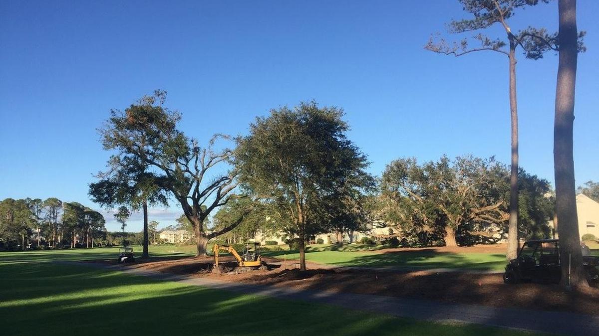 Harbour Town Golf Links is in the process of planting two dozen large trees to replace critical losses at the home of the RBC Heritage Presented by Boeing. Oaks and palms are being planted this week, with a half-dozen pines coming next month.