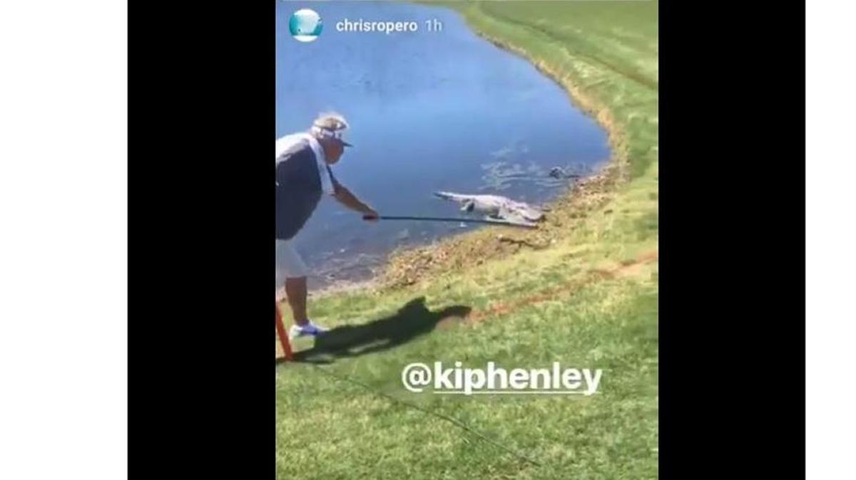 Caddie Kip Henley faced another alligator at RBC Heritage Presented by Boeing golf tournament Thursday after squaring off a gator at Harbour Town Links on Hilton Head Island in 2012.