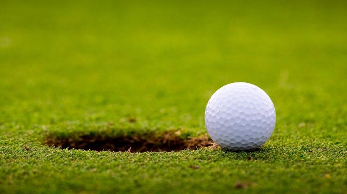 Catawba Ridge, Nation Ford and Clover were among the York County high schools to have golfers in the 2021 state championships. Here’s how they fared.