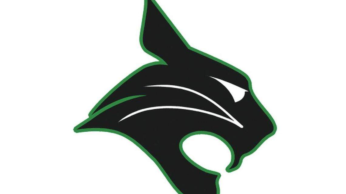 Bluffton boys capture Class 3A Lower State cross country crown