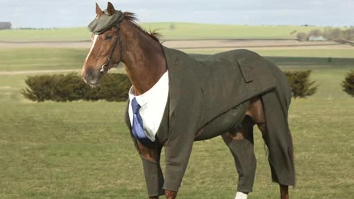 Tweed-suited horse makes debut (:45)