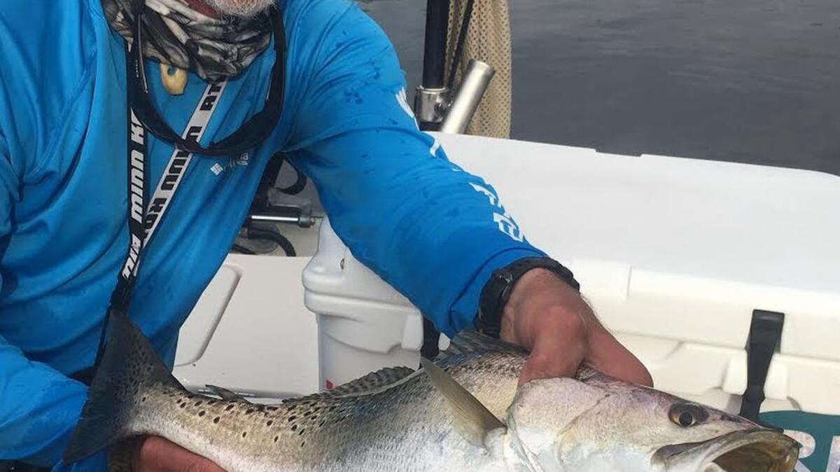 Capt. Trent Malphrus proves big trout love topwater plugs.