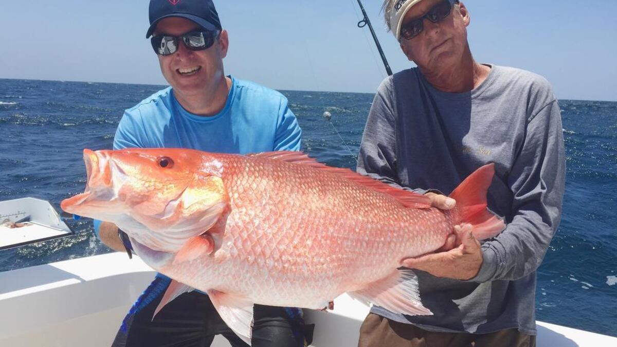 Big red snapper are a-plenty out there.