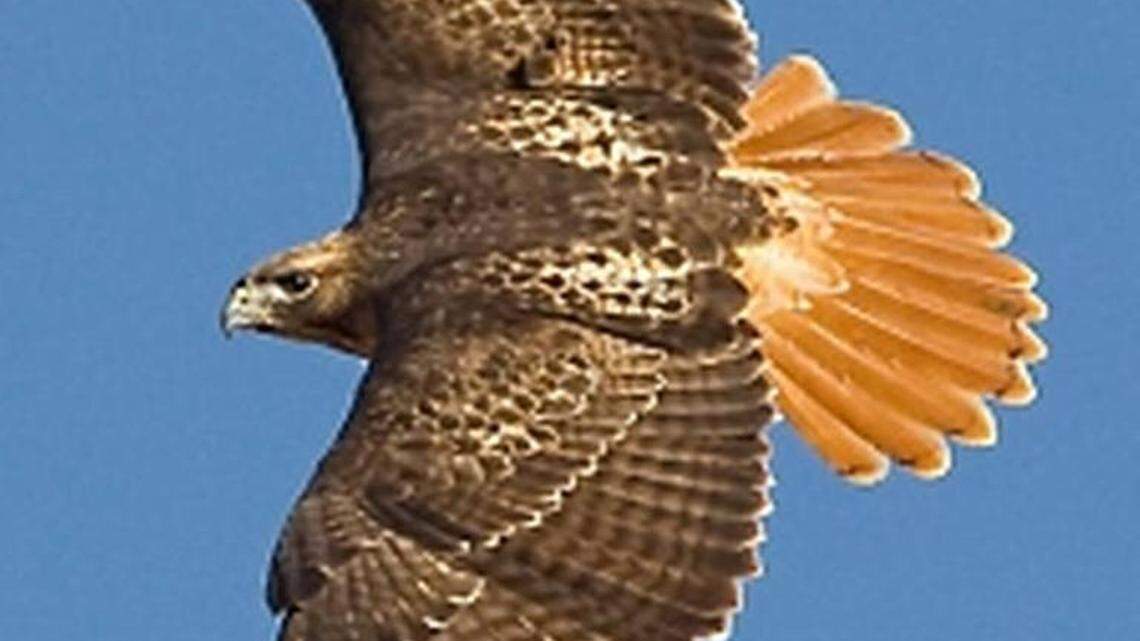 I have a hunch you’re missing the best lure there is for great Lowcountry fishing