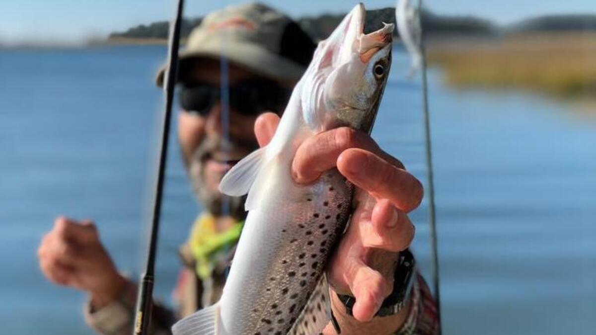 If you aren’t sure if a fish is legal, let it go!