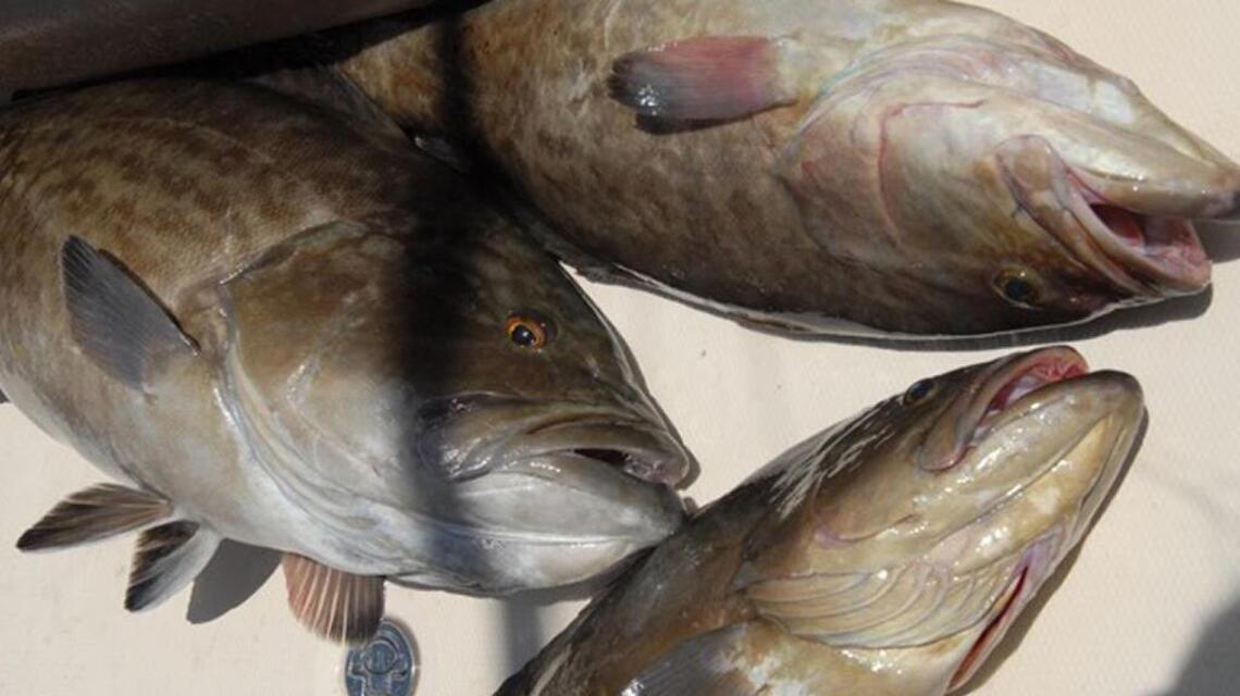 Fishing memories overshadow troubling times