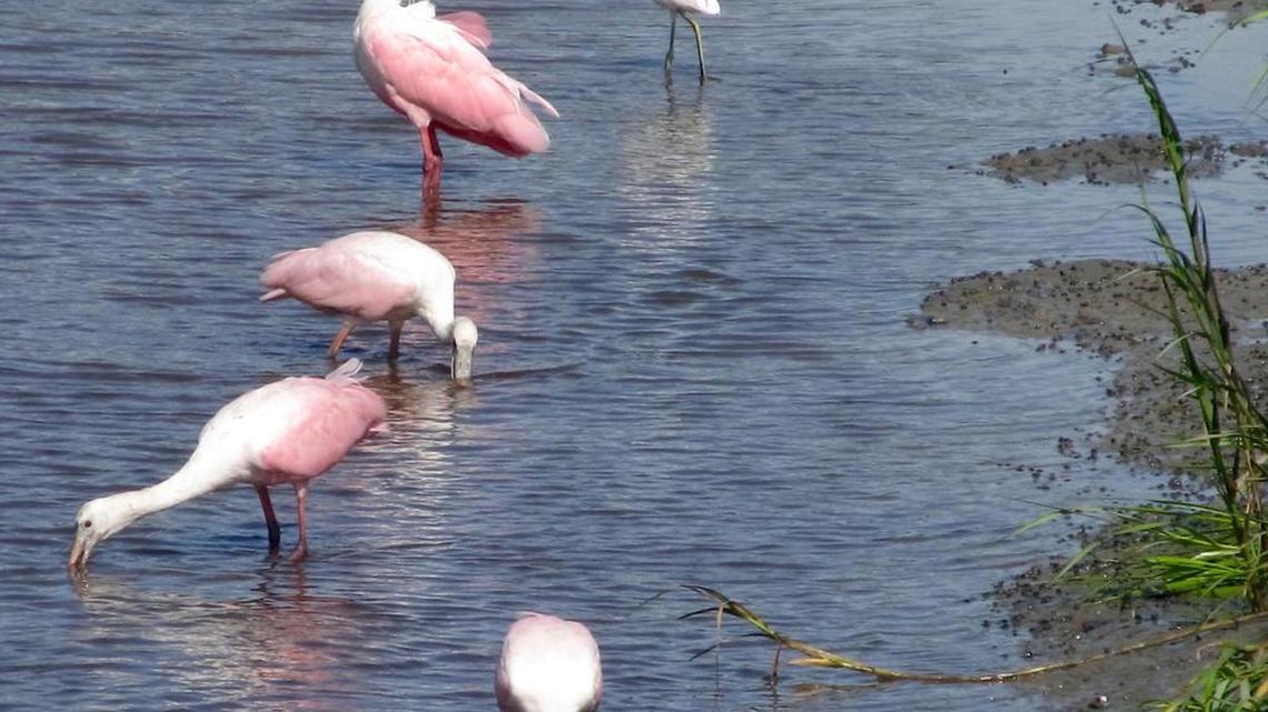 Nature is on a roll right now and Collins has enjoyed all of it