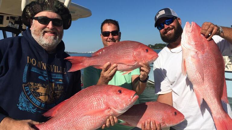 SC red snapper season will be the best it’s been in 15 years. What you need to know